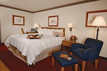 Hampton Dulles/cascades Hotel Sterling